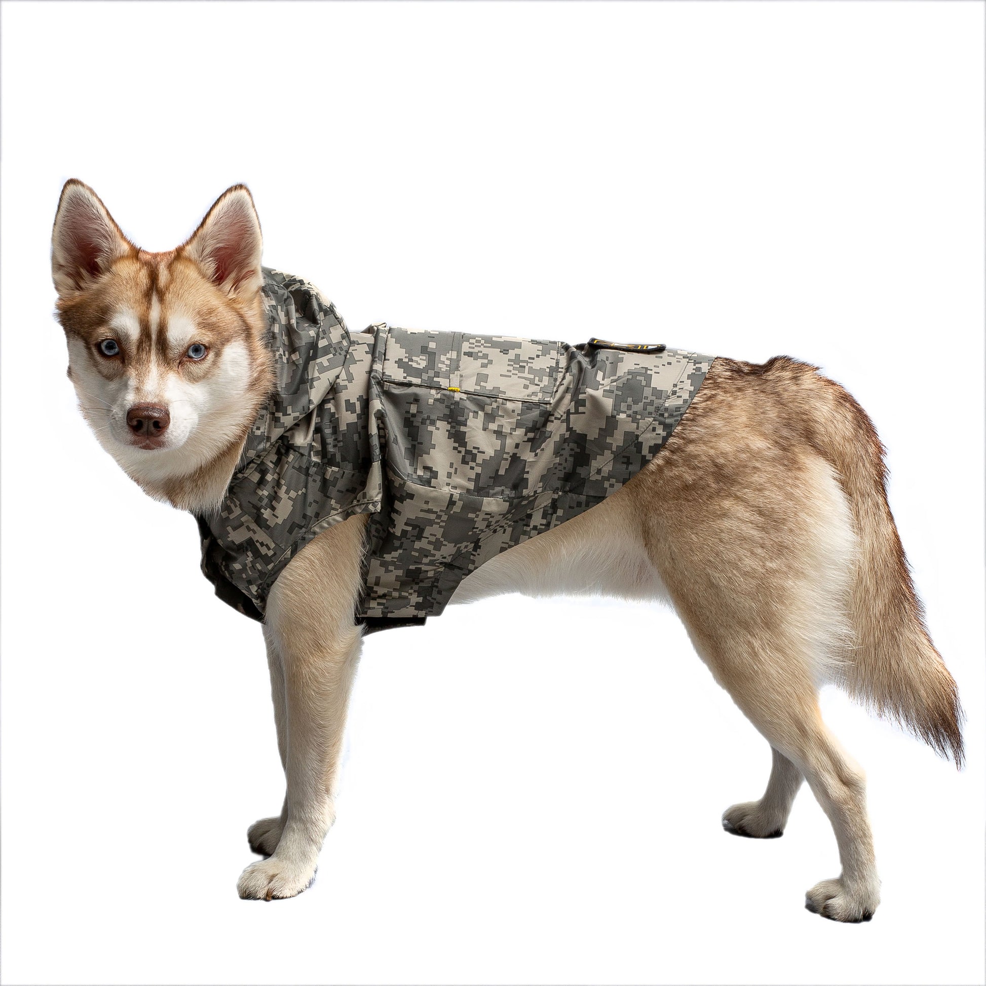 US Army Packable Dog Raincoat - Camo – GF Pet.us